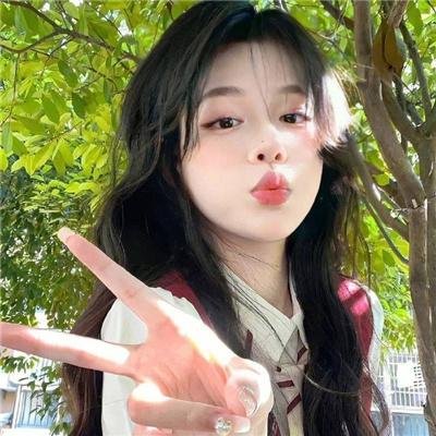 猫王艾维斯